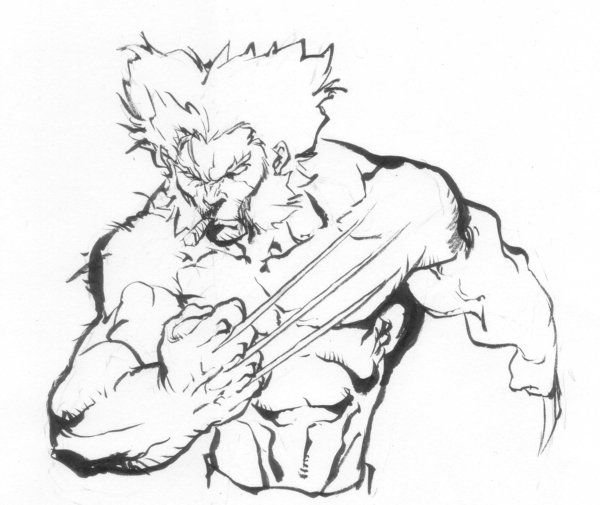 Волк из Росомахи раскраска