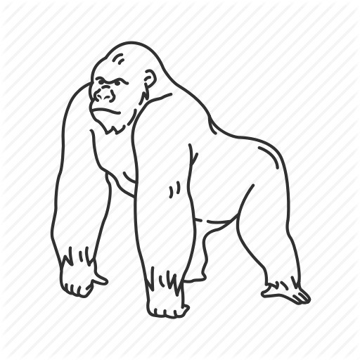 Горилла для срисовки