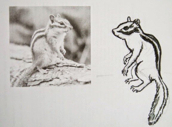 Как нарисовать бурундука пошагово