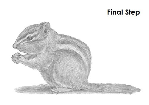 Бурундук нарисовать поэтапно