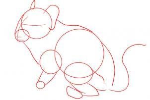 Бурундук раскраска