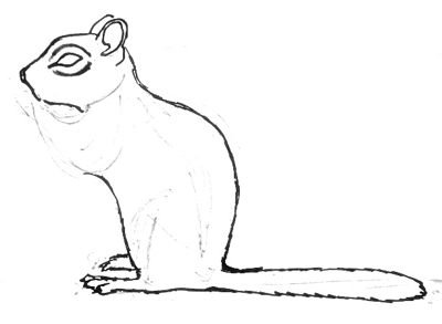 Бурундук нарисовать поэтапно