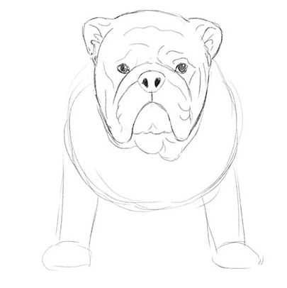 Булька рисунок карандашом