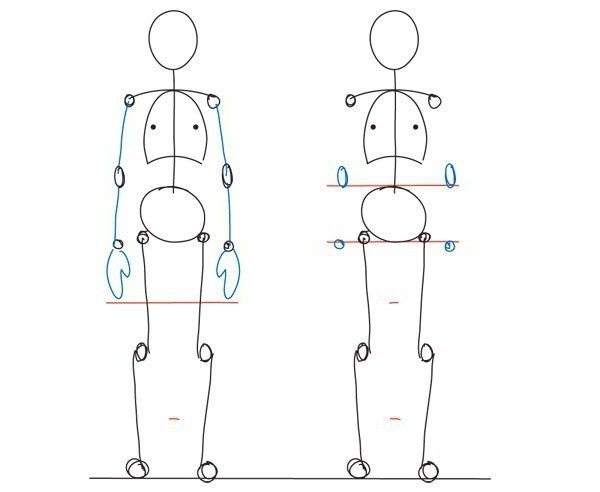 Пропорции тела человека для рисования