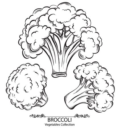 Брокколи карандашом