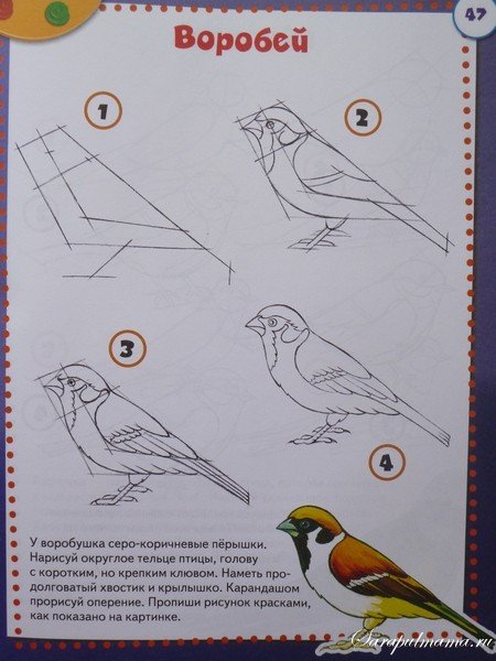 Перелетные птицы рисование пошагово