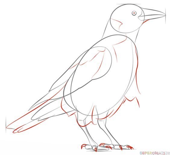 Чучело птицы для рисования