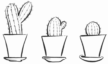 Рисование Кактус старшая группа