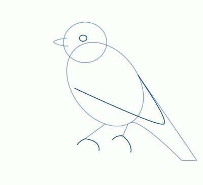 Рисование птиц для детей