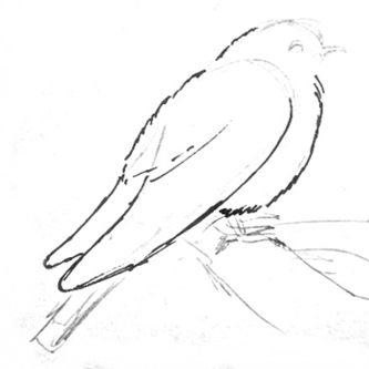 Кукушка поэтапно