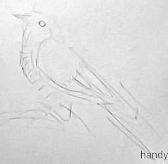 Кукушка эскиз