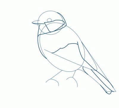 Как нарисовать дятла поэтапно для детей