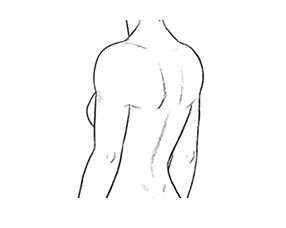 Шея и плечи рисование