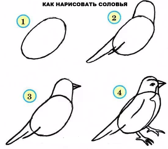 Как нарисовать Салов я