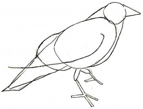 Поэтапное рисование вороны