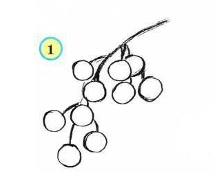 Рисование с детьми ветка смородины