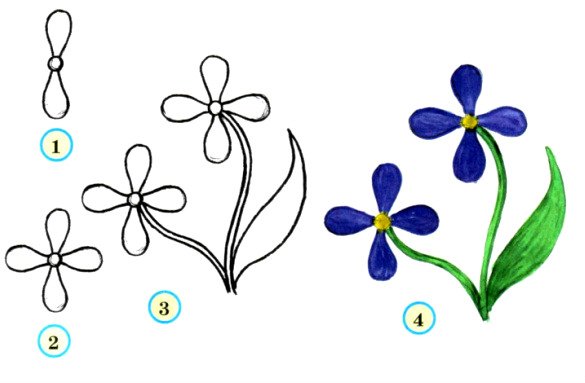 Алгоритм рисования цветов