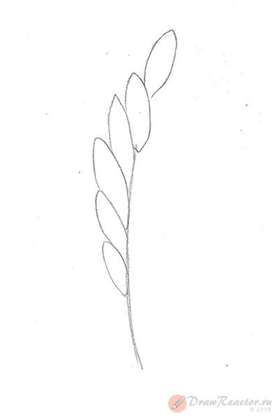 Рисование колосок старшая