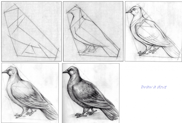 Фотоаппарат карандашом поэтапно