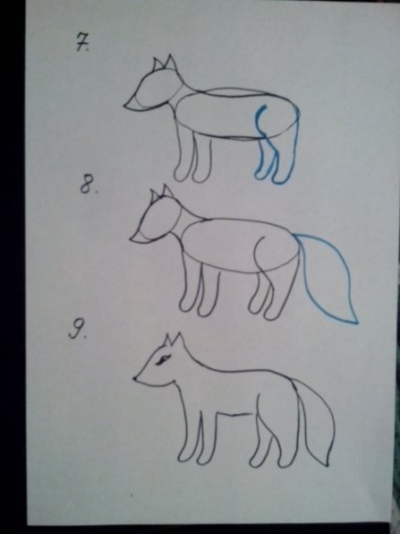 Этапы рисования лисы