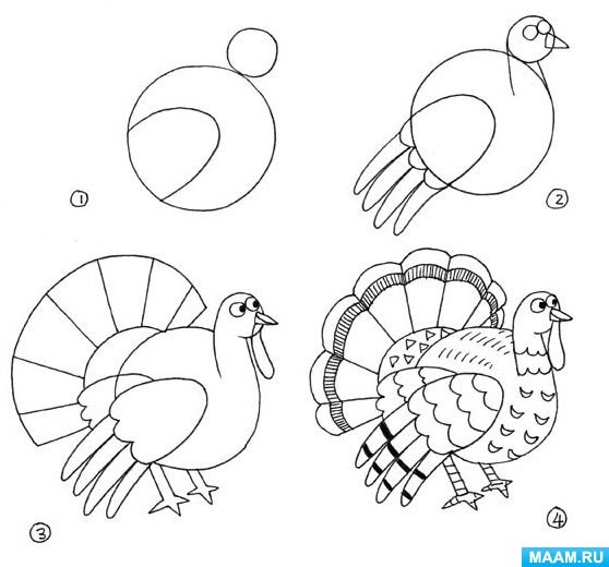 Рисование индюка