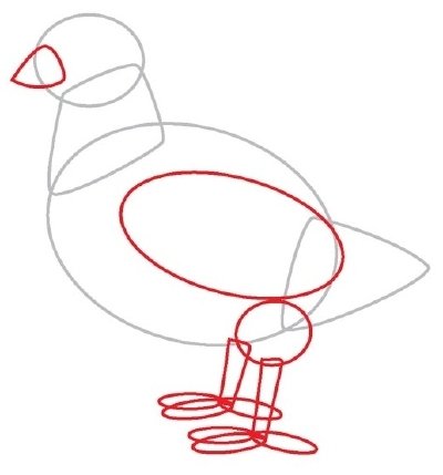 Поэтапное рисование тетерева