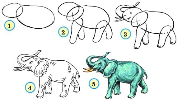 Поэтапное изображение животных