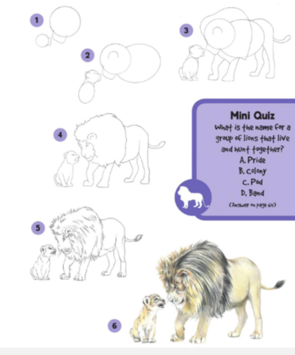 Как нарисовать верблюда