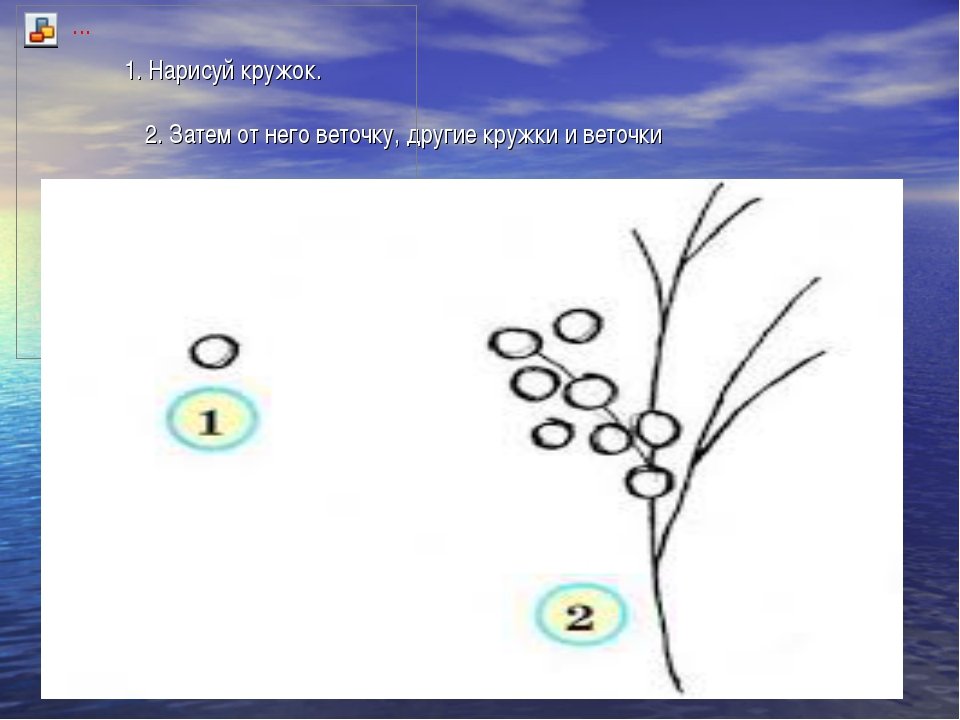 Рисуем мимозу 1 класс. Этапы рисования мимозы. Поэтапное изображение мимозы. Схема веточки мимозы для рисования. Рисование веточки мимозы 1 класс.