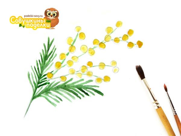 Поэтапное рисование мимозы для детей