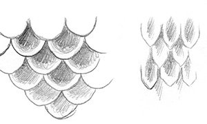 Открытые чешуйки волоса нарисованные