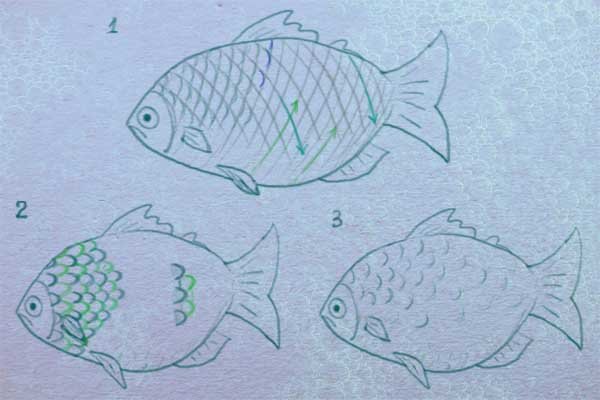 Рисование чешуи рыбы