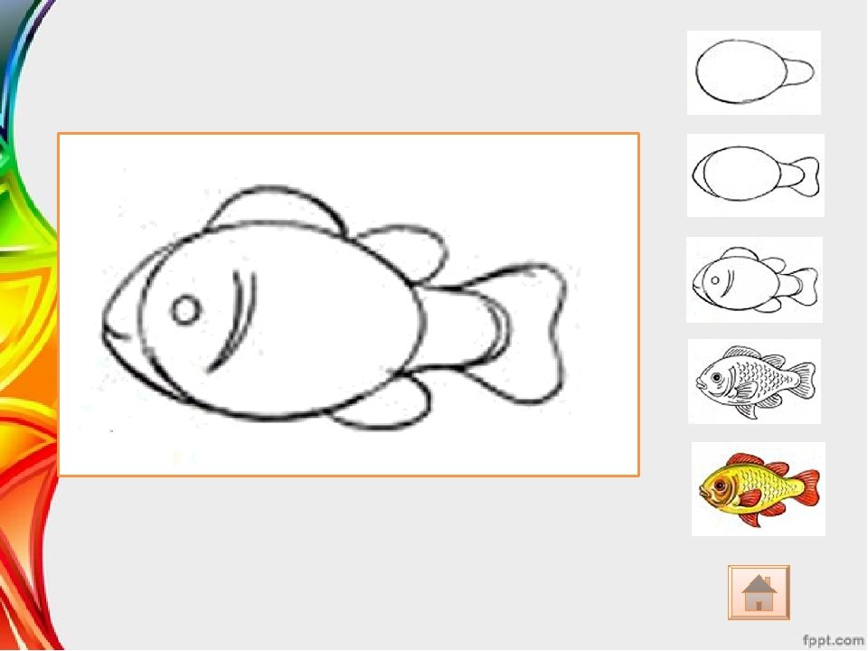 Рисовать в первом классе. Рисование рыбы. Рисование рисование рыбок. Поэтапное рисование рыбы. Рыбка изо.