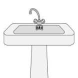 Нарисованная раковина