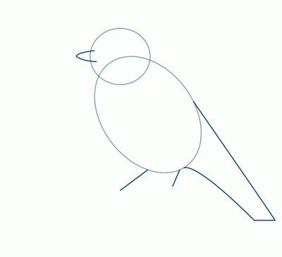 Скворец рисунок карандашом