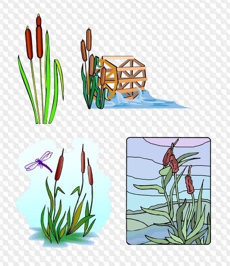 Камыш рисунок