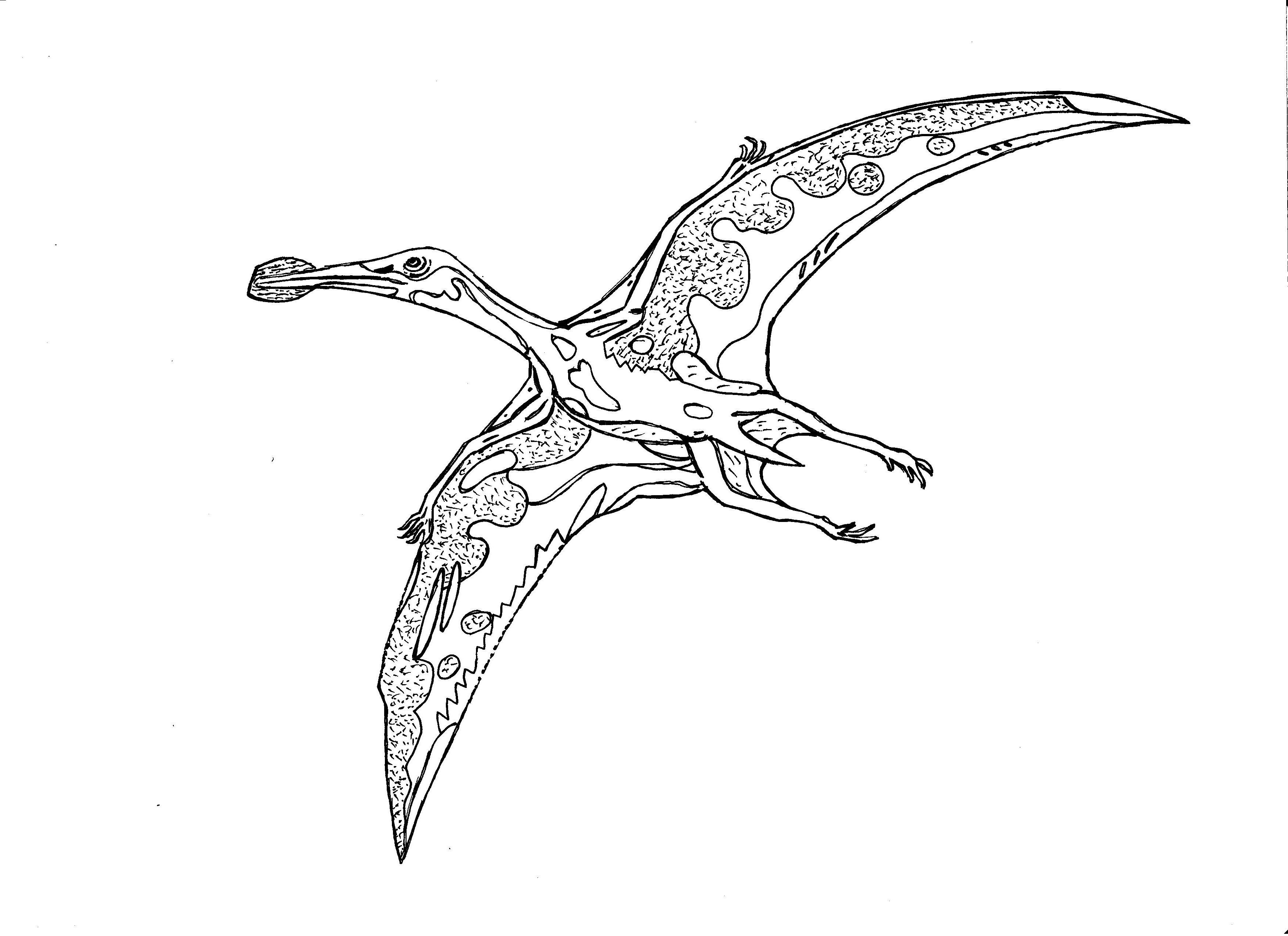 Кетцалькоатль Птерозавр раскраска