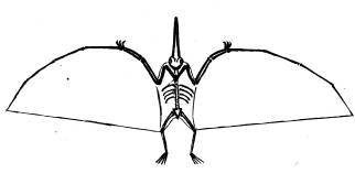 Птеродактиль карандашом