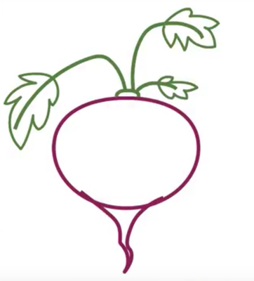 Свекла поэтапное рисование