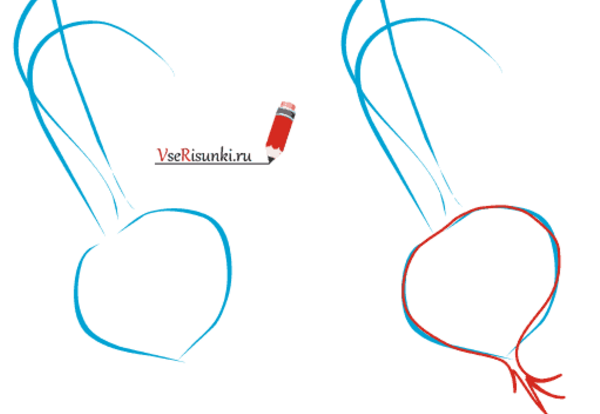 Рисование пошагово свекла