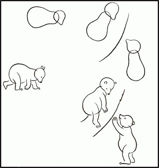 Поэтапное рисование медведя в старшей группе