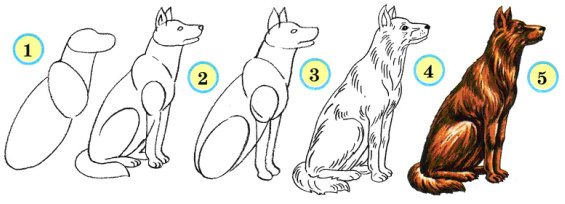 Алгоритм рисования собаки