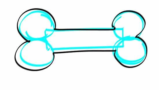 Кость рисунок по шагам