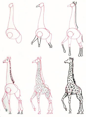 Пошаговый рисунок жирафа