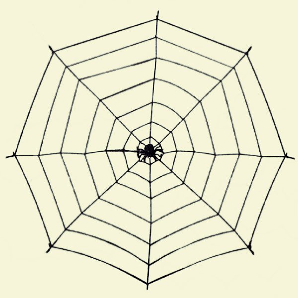 Поэтапное рисование паутины