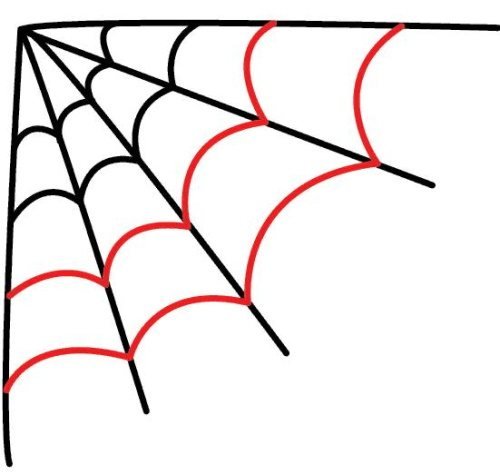 Этапы рисования паутины