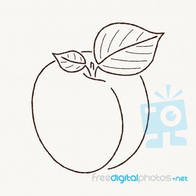 Абрикос рисованный