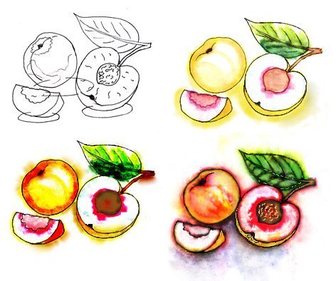 Абрикос скетч