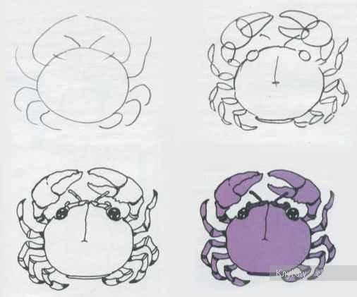 Краб рисунок легкий