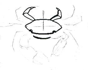 Крабик рисунок карандашом